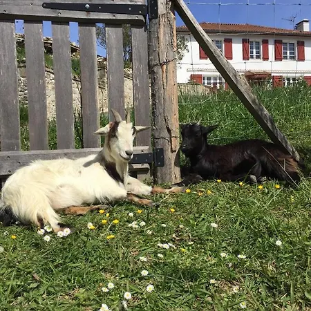 L'adret Du Bois Sames