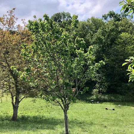 L'adret Du Bois Gasthof 4*