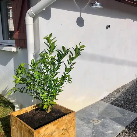 L'adret Du Bois Affittacamere 4*