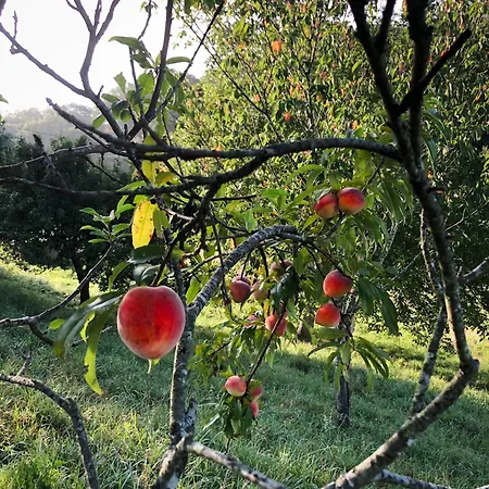 Affittacamere L'adret Du Bois Sames