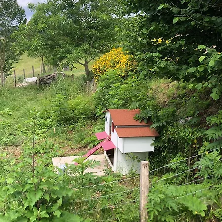 Affittacamere L'adret Du Bois 4*