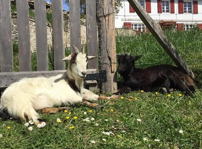 L'adret Du Bois Sames