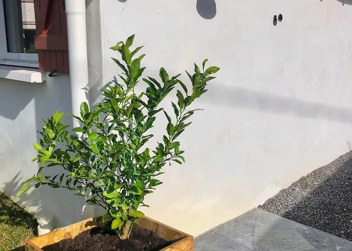 L'adret Du Bois Pensión 4*