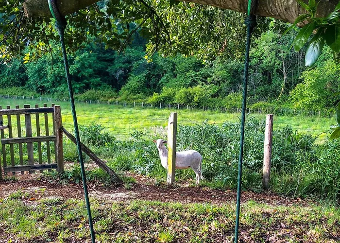 L'adret Du Bois Sames