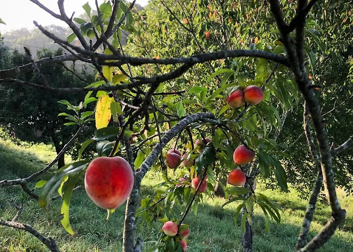 Pensión L'adret Du Bois Sames