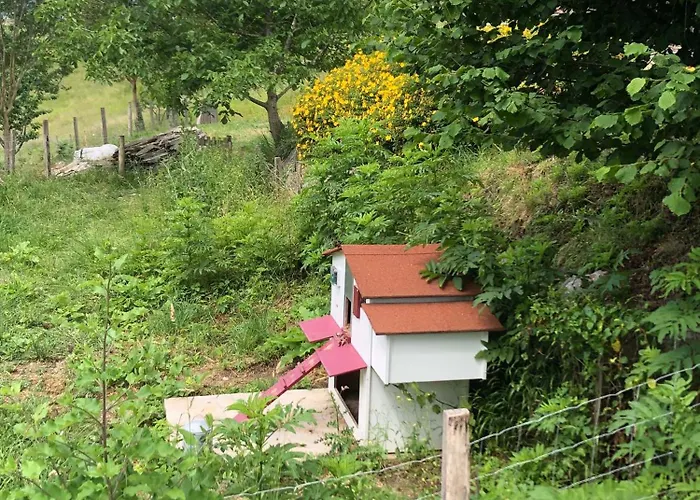 Pensión L'adret Du Bois 4*